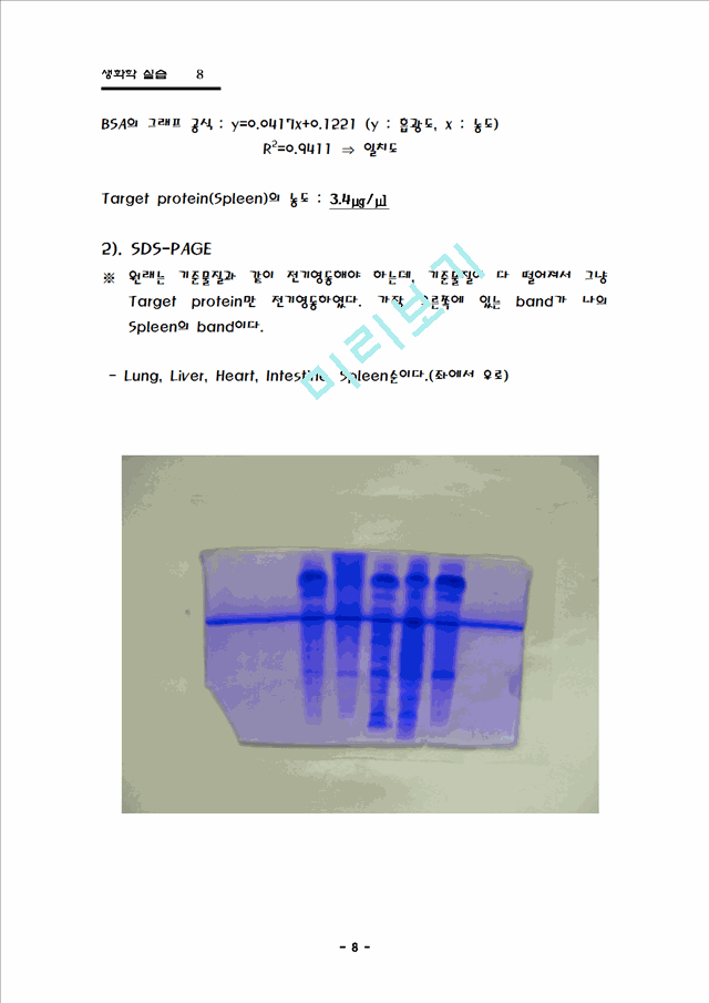 Protein isolation & separation   (8 )